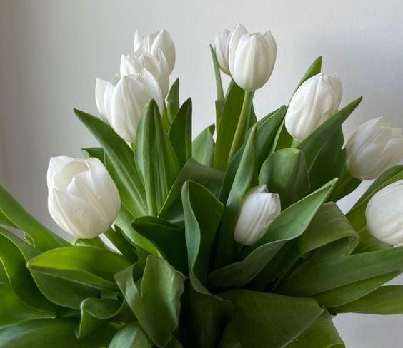 Поздравляем с 8 марта!