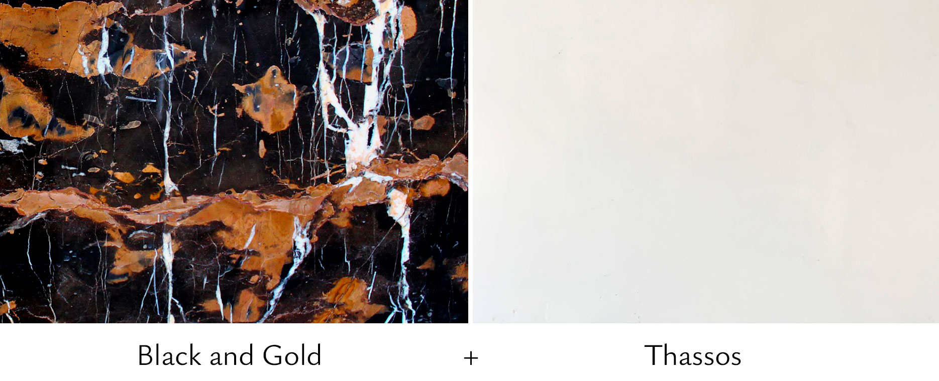 Black and Gold + Thassos Black and Gold + Thassos